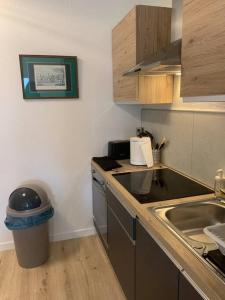 Appartements Loft avec parking centre Tours et bord du Cher Loire Valley : photos des chambres