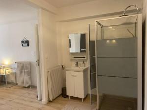 Appartements Loft avec parking centre Tours et bord du Cher Loire Valley : photos des chambres