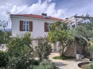 Metropolis Villa - 瓦西