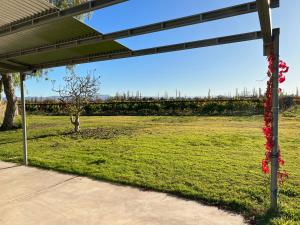 Cabaña 1920 - frente a viñedo