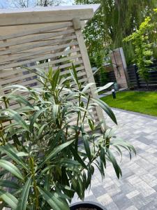 Apartamenty Naturapart