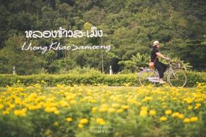 Lhongkhao Samoeng By Chivilla