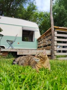 Campings La « Ravane » : photos des chambres