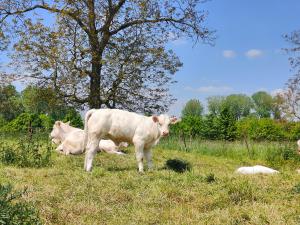 Campings La « Ravane » : photos des chambres