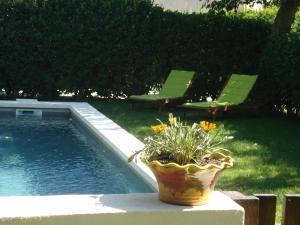 Appartements Gites charme avec piscine Arles - Camargue - Alpilles : Appartement 1 Chambre