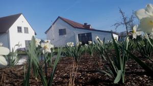 B&B De Luyckhoek