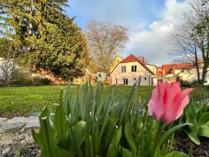 obrázek - OM Yoga center