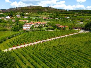 Lavandeira Douro Nature & Wellness