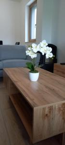 Duplex Holiday Apartment 