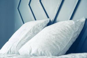 Appartements Le Rose - Centre Ville - Wifi : photos des chambres