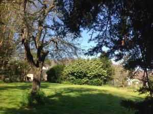 Maisons de vacances Le Bourg Remy Gites : photos des chambres