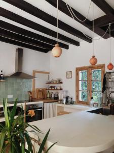 Lescale Surf Hostel - Auberge de jeunesse