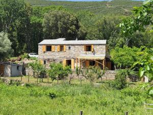 Villas Casa Misincu- Paradis dans la nature du cap Corse : photos des chambres