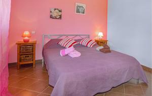 Maisons de vacances Beautiful Home In Linguizetta With Outdoor Swimming Pool, Wifi And Private Swimming Pool : photos des chambres