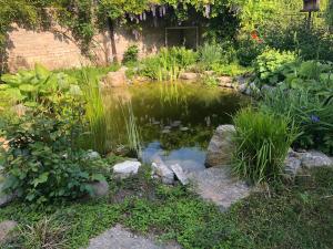 Apartmán U jezírka