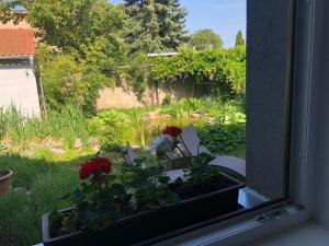 Apartmán U jezírka