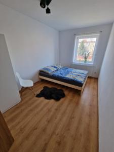 Przytulny apartament + siłownia