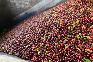 Glamping Arkdia. La Utopía