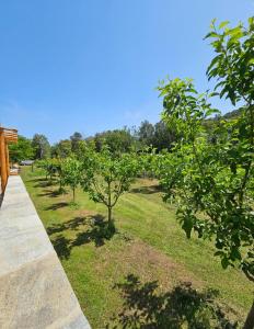 Villas Casa Misincu- Paradis dans la nature du cap Corse : photos des chambres