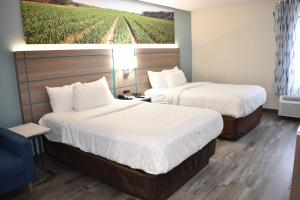 Double Room with Two Double Beds - Non-Smoking room in Days Inn by Wyndham Vidalia