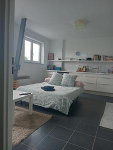 Appartements Roubaix pres Lille, un cocon en plein centre : photos des chambres