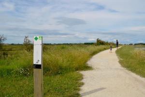 Villas Magnificent Villa recent quiet St Denis D'Oleron : photos des chambres