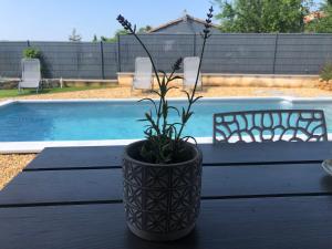 Villas Villa l'Amoureuse 3 : photos des chambres