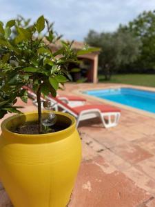 Maisons de vacances Le calme de la campagne proche de tout..... : photos des chambres