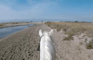 Maisons de vacances Maison familiale en Camargue : photos des chambres