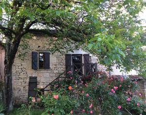 Appartements Ombre & Fraicheur : photos des chambres