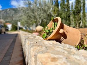 Casa Matina by Goutos Luxury Living