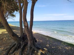 Charmant appartement dans résidence avec piscines