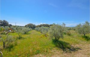 Maisons de vacances Beautiful Home In Linguizetta With Outdoor Swimming Pool, Wifi And Private Swimming Pool : Maison de Vacances 4 Chambres