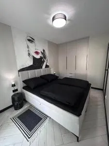 BoleslaviaApartments - Apartament Arte - air conditioning, parking free, EV - Tomaszów