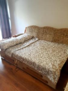 Apartment Dort