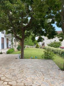 Apartman Snezana Kalimanj