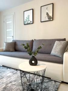 New Modern Apartments in the City Center