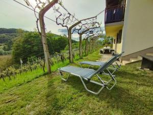 Mini hiška v objemu vinograda