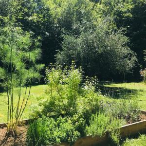 Chambre calme sur terrasse - proche Canal Nantes à Brest