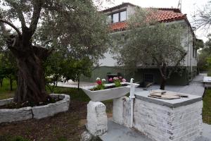 Villa Alex