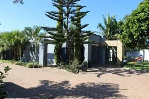 Blue Agave MH - Chongwe