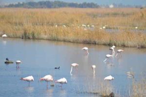 Naturaleza, paz y playa