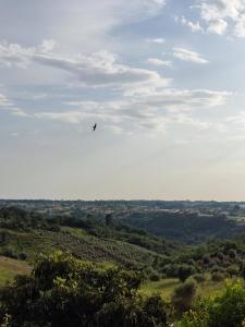 Casa sossegada na Batalha