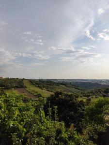 Casa sossegada na Batalha