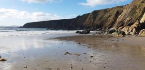 Cherry blossom Erris