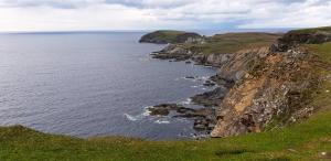 Cherry blossom Erris