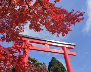 Shankara Lodge -プライベート温泉付き隠れ家- stay & retreat