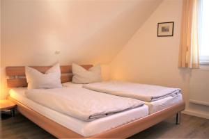 Roter Erik App 3, DG li