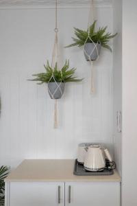 Boho Beach Lux at Burleigh Heads 250