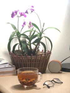 Teachers House Hanoi Homestay